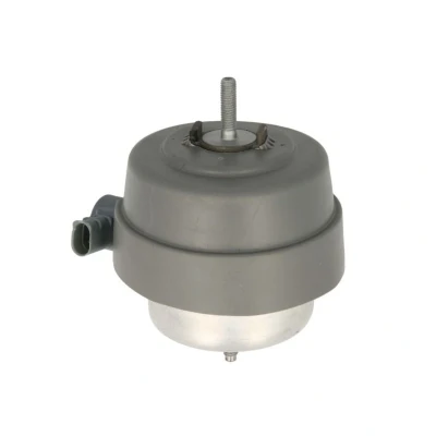 Imagem de REINHOCH RH11 0141 Suporte, motor esquerda, à frente Apoio hidráulico AUDI: A4 B6 Avant, Sedan, B7 Sedan