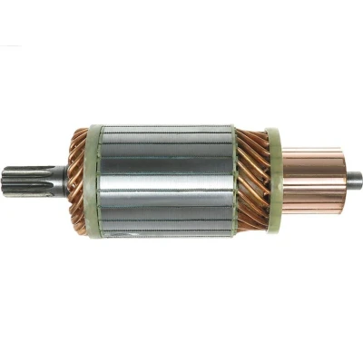 Imagem de AS PL SA6003 Induzido, motor de arranque