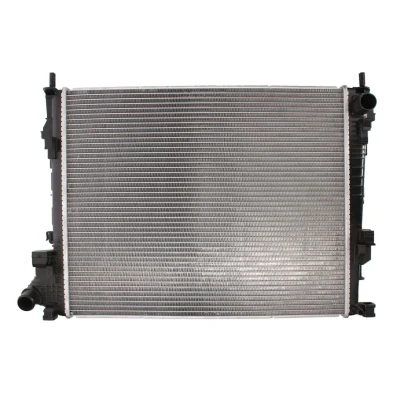 Imagem de THERMOTEC D7R038TT Radiador, arrefecimento do motor RENAULT: TRAFIC 2 Kasten, OPEL: Vivaro A Van