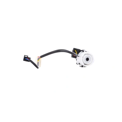 Imagem de FEBI BILSTEIN 38638 Interruptor de ignição e arranque AUDI: A3 Sportback, Hatchback, VOLKSWAGEN: Golf 6, Touran I, 5, SKODA: Octavia 2 Combi