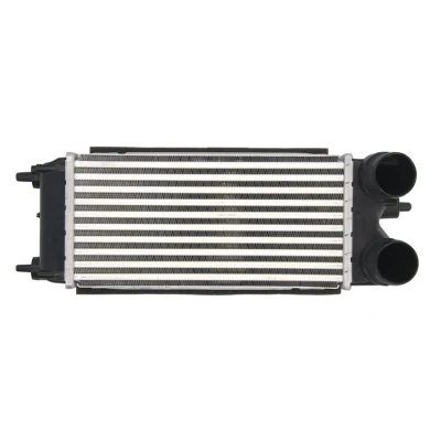 Imagem de THERMOTEC DAG018TT Intercooler