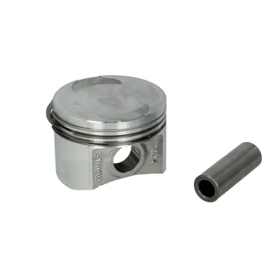 Imagem de Pistão MAHLE 009 36 00