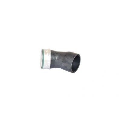 Imagem de BUGIAD 82696 Mangueira Para o Turbocompressor