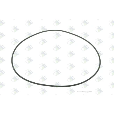 Imagem de O ring da caixa de velocidades EURORICAMBI 95536192