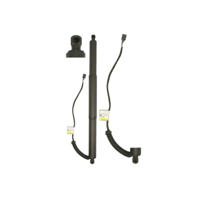 Imagem de Motor elétrico, porta traseira MAGNUM TECHNOLOGY MGS0203MT