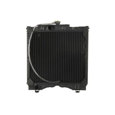 Imagem de Radiador, arrefecimento do motor THERMOTEC D7AG132TT