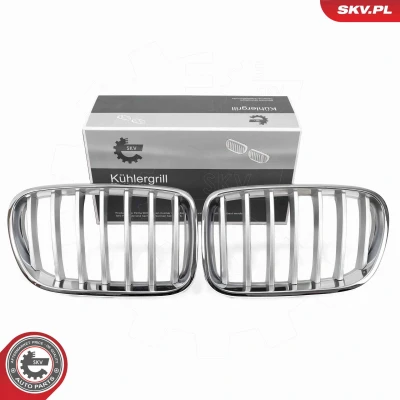 Imagem de ESEN SKV 66SKV251 Grelha de Radiador crómio