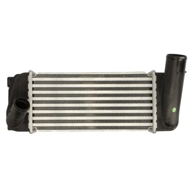 Imagem de Arrefecedor de ar admissão THERMOTEC DA2007TT