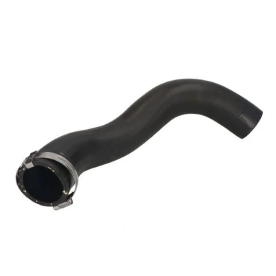 Imagem de THERMOTEC DCV030TT Mangueira Para o Turbocompressor VOLVO: V60 I, V70 3