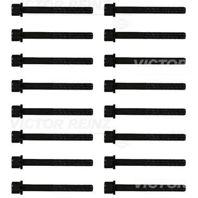 Imagem de REINZ 14 32104 02 Jogo de Parafusos da Cabeçote Torx interior OPEL: Vectra C Sedan, Caravan, Calibra A, SAAB: 9 5 900 II Cabrio