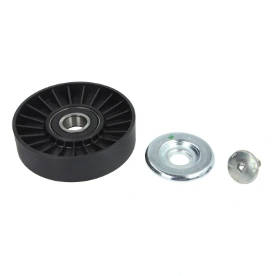Imagem de DAYCO APV1081 Polia de Desvio