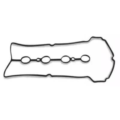 Imagem de REINZ 71 54204 00 Junta de Tapa Valvulas ACM (borracha poliacrílica) CHEVROLET: Aveo / Kalos Hatchback, Spark