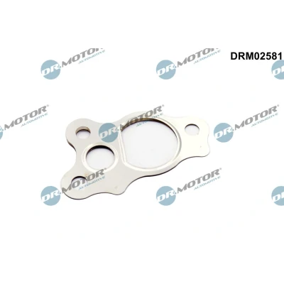 Imagem de Junta, válvula de recirculação dos gases escape Dr.Motor Automotive DRM02581
