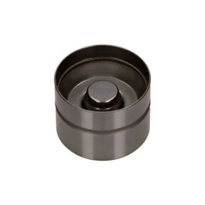 Imagem de MAXGEAR 17 0023 Came de Válvula hidráulico Lado do escape VOLKSWAGEN: Golf 5, 4, Lupo / 3L, SEAT: Leon I Hatchback, Ibiza 2, 3