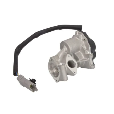 Imagem de MAGNETI MARELLI 571822112137 Válvula EGR