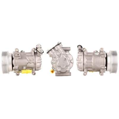 Imagem de LUCAS ACP550 Compressor PAG 46 R 134a com juntas RENAULT: CLIO 3, Kangoo II Express
