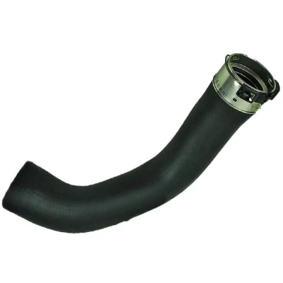 Imagem de BUGIAD 81981 Mangueira Para o Turbocompressor NISSAN: Qashqai 2