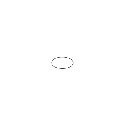 Imagem de Anel de borracha BOSCH F 00N 202 726