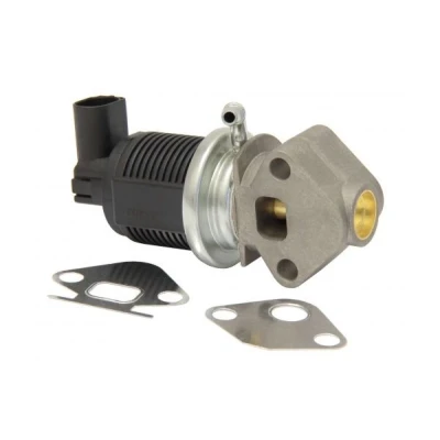 Imagem de MAPCO 83802 Válvula EGR elétrico Electroválvula com junta VOLKSWAGEN: Golf 4, 5, Polo IV Hatchback, SEAT: Ibiza 3, Leon I 2