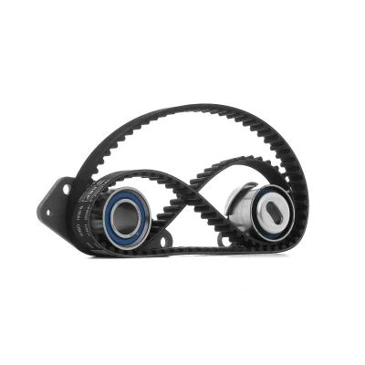 Imagem de SKF VKMA 06101 Jogo de correias dentadas 125 com perfil dentado arredondado RENAULT: Trafic I Van, LAGUNA 1 Grandtour, CLIO 1, VOLVO: 440 K