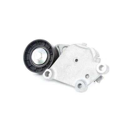 Imagem de SKF VKM 33043 Polia Tensora PEUGEOT: 307 Carrinha, 206 Hatchback, SW, FORD: Focus 2, 2 Kombi, C Max, CITROËN: C3 I II