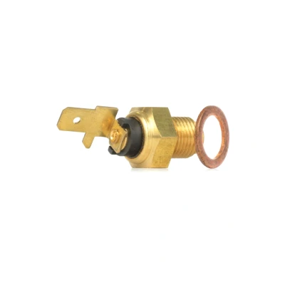 Imagem de AUTOMEGA 150016510 Sensor de Temperatura do Óleo M10x1 com junta SEAT: Ibiza 3