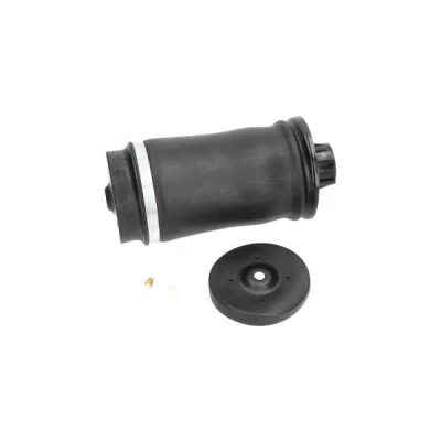 Imagem de KAVO PARTS SAS 10006 Mola pneumática, chassis Eixo traseiro pneumática MERCEDES BENZ: Classe ML, ML
