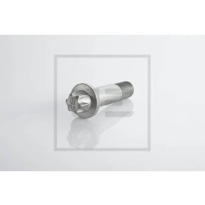 Imagem de PETERS ENNEPETAL 296.003 00A Parafuso M16x1,5 Torx