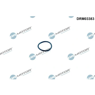 Imagem de DR.MOTOR AUTOMOTIVE DRM03383 Retentor, tensor da corrente de distribuição