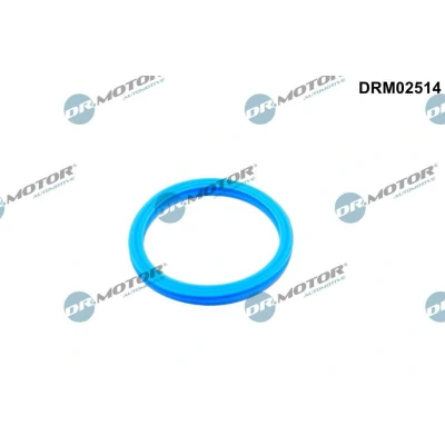 Imagem de Junta, tubagem do líquido de refrigeração Dr.Motor Automotive DRM02514
