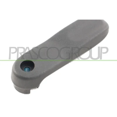 Imagem de PRASCO DS9178300 Puxadores de Porta Tampa da bagageira do veículo, interior preto RENAULT: Kangoo I, I Express, DACIA: Dokker Carrinha