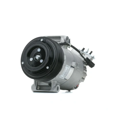 Imagem de DELPHI TSP0155928 compressor 6CVC13 PAG 46 com óleo de NISSAN: Qashqai / Qashqai+2 I