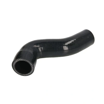 Imagem de DT Spare Parts 1.11696 Mangueira de Radiador