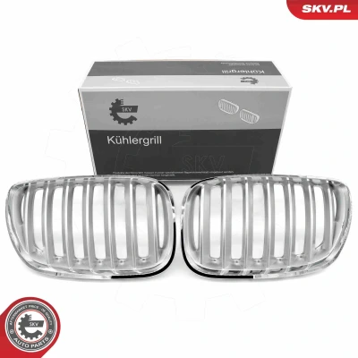 Imagem de ESEN SKV 66SKV279 Grelha de Radiador crómio BMW: X5