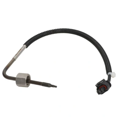 Imagem de DELPHI TS30203 Sensor
