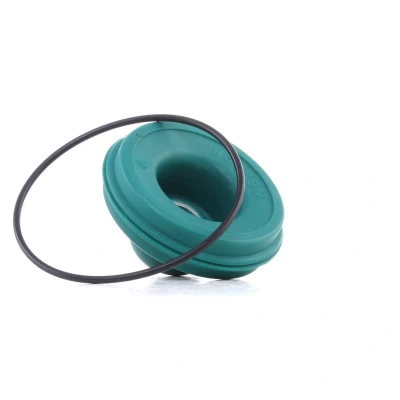 Imagem de AUTOFREN SEINSA D1286 Kit de reparação, bomba central dos travões CITROËN: Xantia Carrinha, Hatchback endado, norauto, oscaro, mister auto