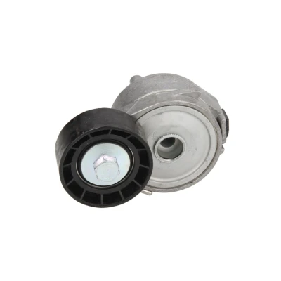 Imagem de DAYCO APV2556 Tensor da Correia PEUGEOT: 206 Hatchback