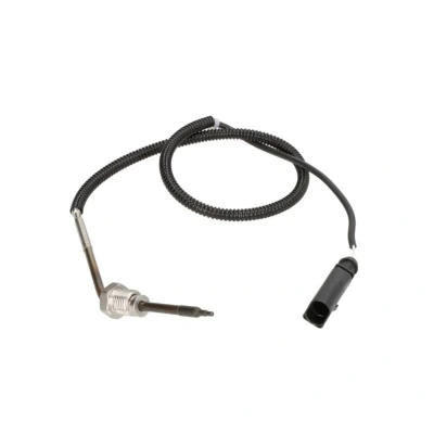 Imagem de DELPHI TS30271 Sensor AUDI: A4 B7 Avant