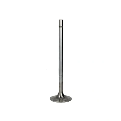 Imagem de Válvula de admissão FRECCIA R6488/SCR