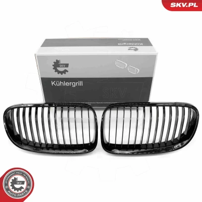 Imagem de ESEN SKV 66SKV112 Grelha de Radiador preto, brilhante BMW: 3 Coupe