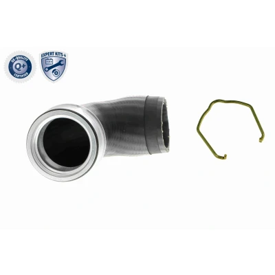 Imagem de VAICO V10 5307 Mangueira Para o Turbocompressor Borracha com entretela grampo AUDI: A3 Hatchback, Sportback, VOLKSWAGEN: Golf 5