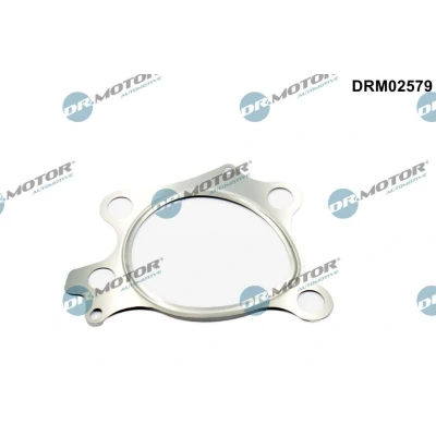 Imagem de Junta, tubo de escape Dr.Motor Automotive DRM02579
