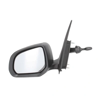 Imagem de Espelho retrovisor exterior BLIC 5402 16 2002897P Links