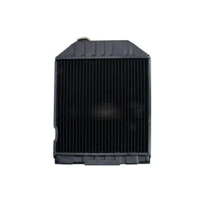 Imagem de Radiador, arrefecimento do motor THERMOTEC D7AG063TT