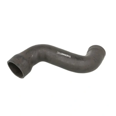 Imagem de Mangueira de ar reforço THERMOTEC DCW179TT