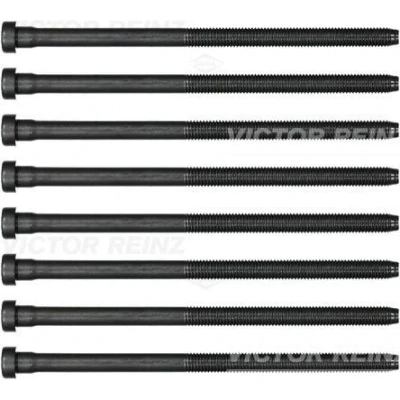 Imagem de REINZ 14 32384 02 Jogo de Parafusos da Cabeçote Estriado interior SEAT: Ibiza 4 Sportcoupe, 4, ST, SKODA: Rapid Spaceback