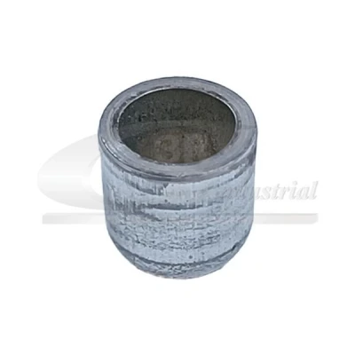 Imagem de 3RG 84000 Tampão de dilatação