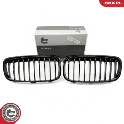 Imagem de ESEN SKV 66SKV039 Grelha de Radiador brilhante, preto