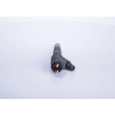 Imagem de BOSCH 0 445 120 067 Injector Common Rail com retentor