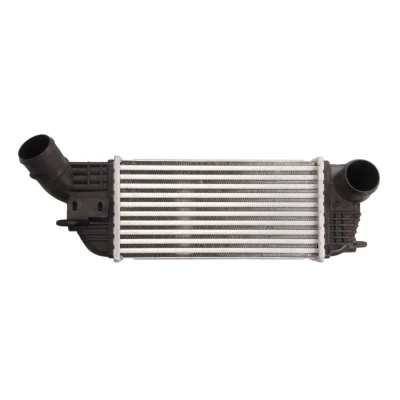Imagem de THERMOTEC DAP005TT Intercooler 299 x 155 81 mm